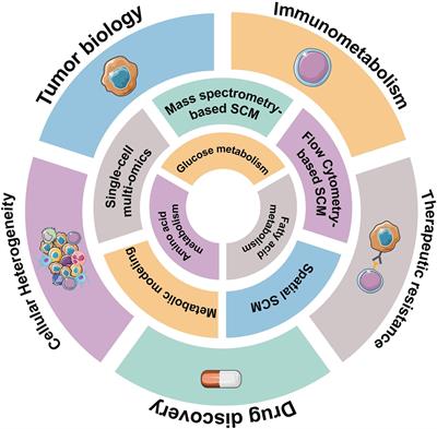 Single-Cell Metabolomics in Hematopoiesis and Hematological Malignancies